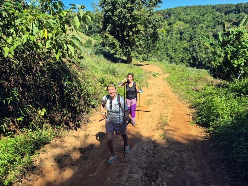 Jungle Adventure Hiking & Bamboo Cooking (Small Group) - Cooking in Bamboo: A Highlight