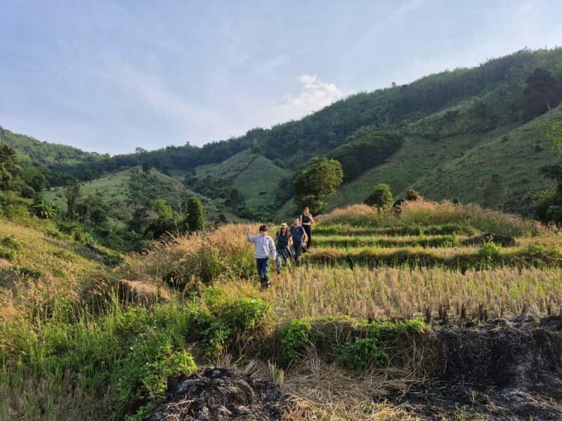 Jungle Adventure Hiking & Bamboo Cooking (Small Group) - Practicalities and Value