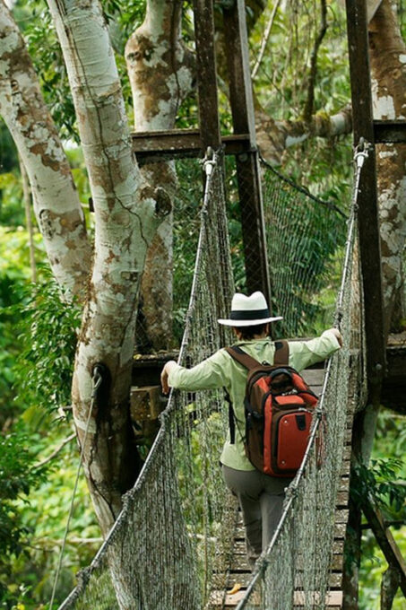 Jungle Adventure Unleashed - 3-Day Sandoval Tour - Getting to Puerto Maldonado
