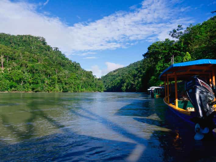 Jungle + Amazon River Excursion 4 Days - Wildlife Experiences