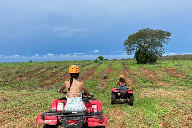 Jungle and Beach ATV Tour + Lunch + Tequila Tasting - Transportation and Accessibility