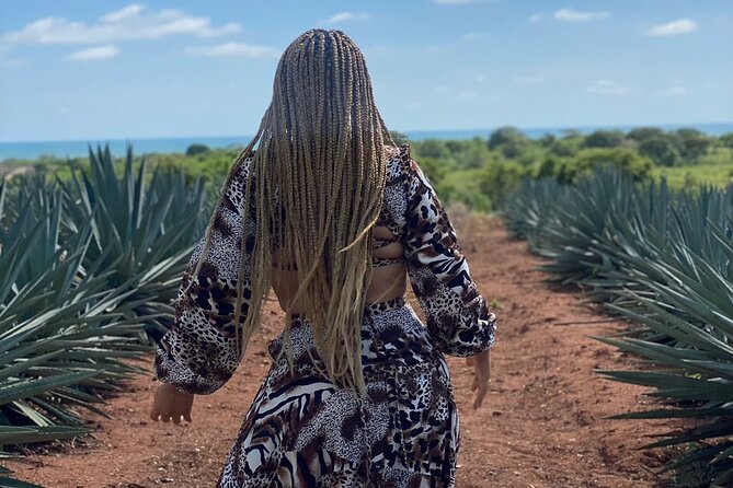 Jungle and Beach ATV Tour + Lunch + Tequila Tasting - Recommendations and Considerations