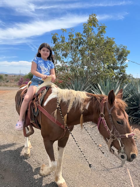 Jungle and Beach Horse Ride + Lunch + Mezcal - Key Points