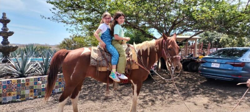 Jungle and Beach Horse Ride + Lunch + Mezcal - Tour Inclusions