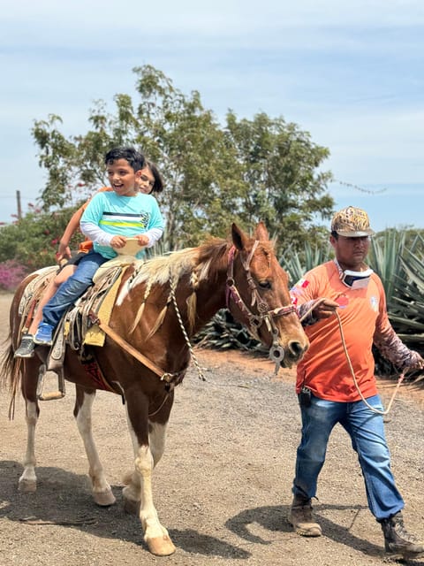 Jungle and Beach Horse Ride + Lunch + Mezcal - Customer Feedback
