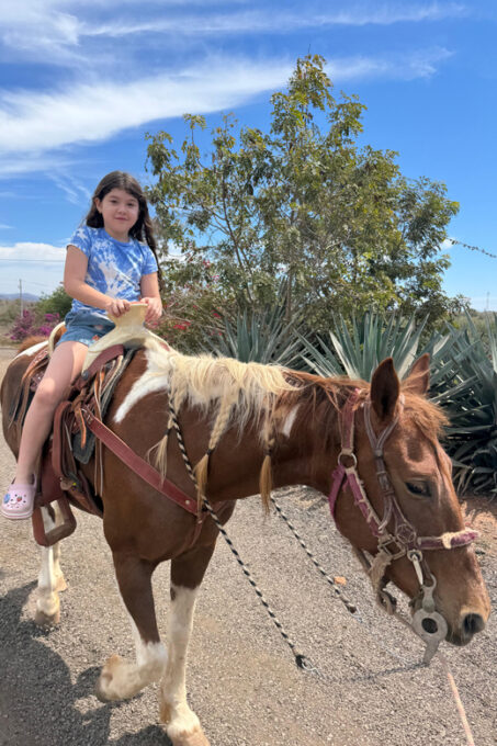 Jungle and Beach Horse Ride + Lunch + Mezcal - Frequently Asked Questions