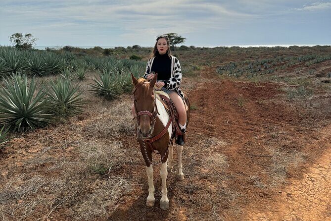 Jungle and Beach Horseback ride Tour in Pacific Coast - The Sum Up