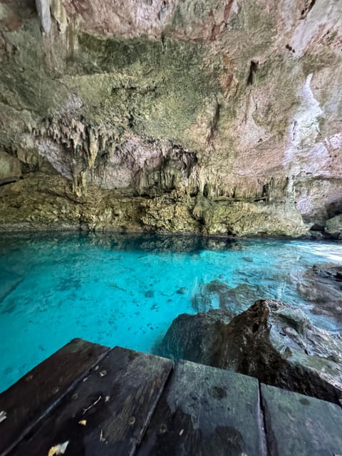 Jungle and Secret Cenote Excursion - Inclusions