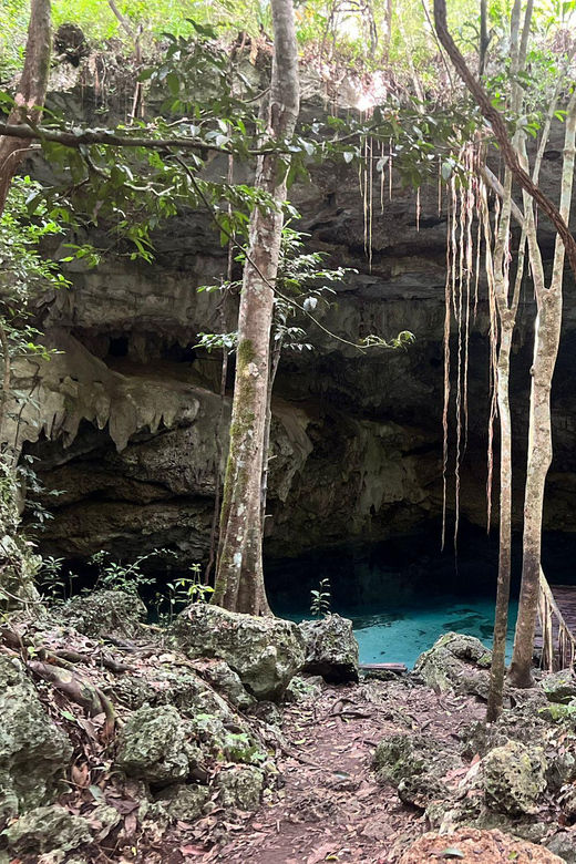 Jungle and Secret Cenote Excursion - Important Information