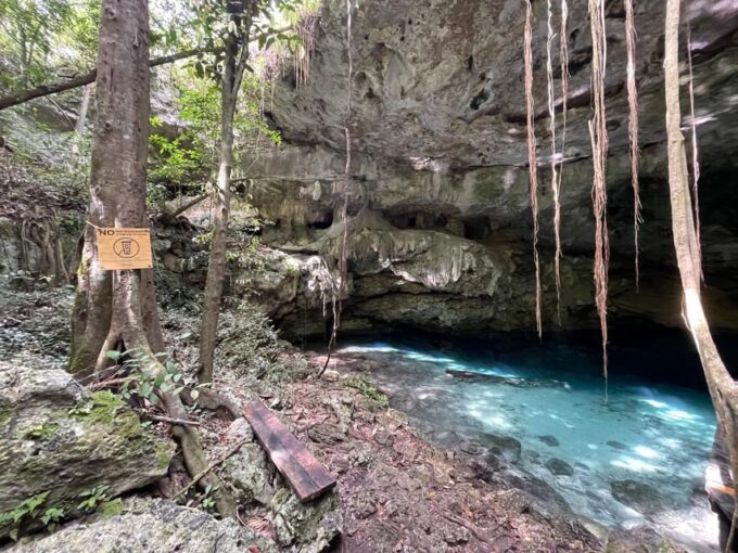 Jungle and Secret Cenote Excursion - Exploring the Jungle