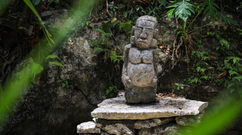 Jungle Atv Tour at Cozumel - Itinerary Highlights