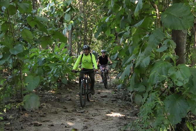 Jungle Bike Tour - Pick-Up Details