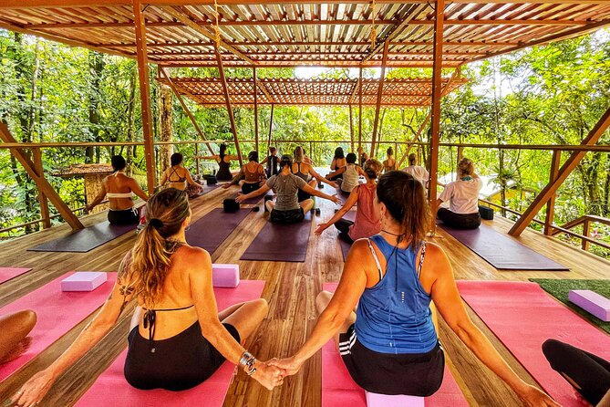 Jungle Bliss: Yoga, Waterfalls, and Blue Clay Experience W/Lunch - Itinerary and Activities
