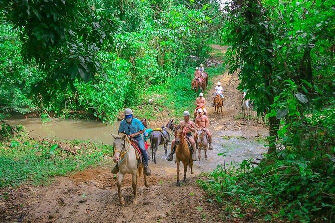 Jungle Buggies + Zilplining + Horseback Ride + Countryside + Macao Beach - Customer Feedback and Experiences