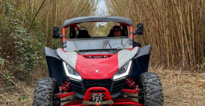 Jungle: Buggy Adventure - Safety Precautions