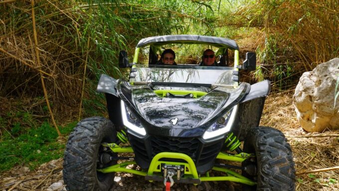 Jungle: Buggy Adventure - Frequently Asked Questions