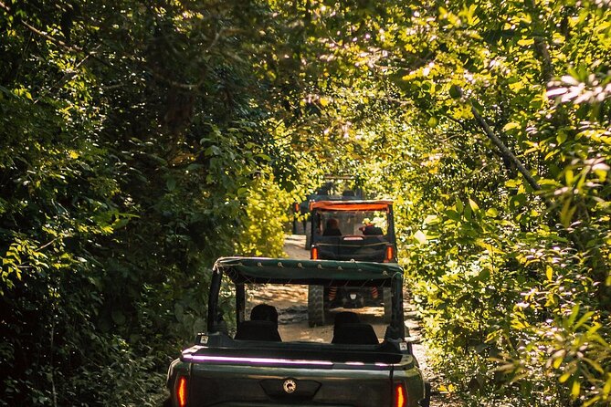 Jungle Buggy Day Tour - Cancellation and Booking Policies