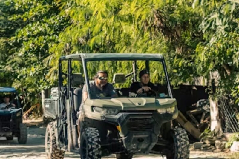 Jungle Buggy Tour - Key Points