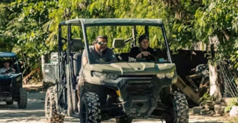 Jungle Buggy Tour - Vehicle and Safety Details