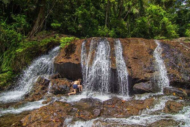 Jungle Canopy Zipline & Waterfall Rappelling - Bocawina Falls - Optional Adventure Upgrade