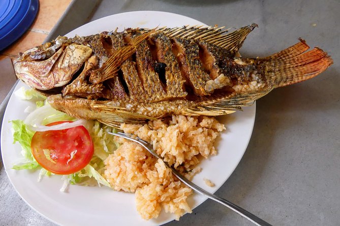 Jungle Coyuca Lagoon Boat Ride Experience & Baby Turtle Release - Exploring the Witch Doctor Market