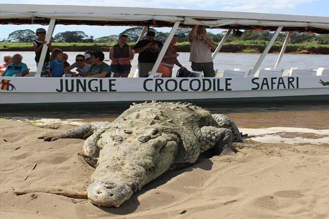 Jungle Crocodile Safari - Punta Arenas Highlights - Transportation and Pickup