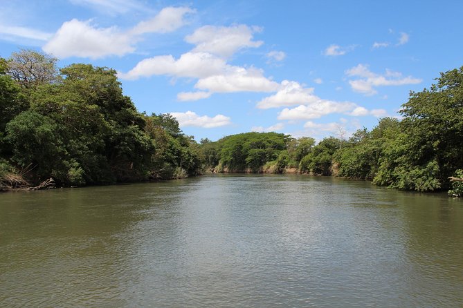 Jungle Cruise at Palo Verde National Park - Guided Exploration