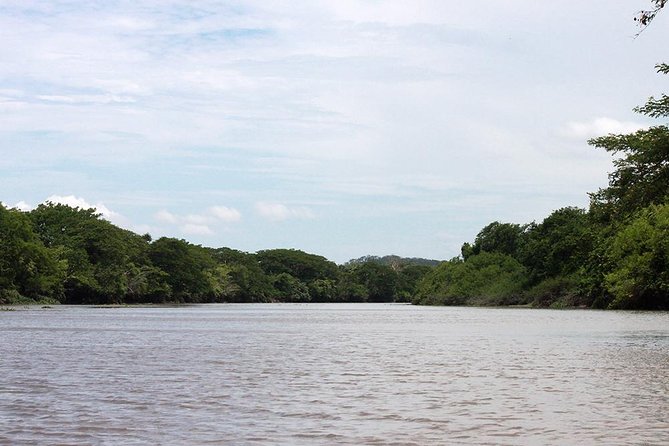 Jungle Cruise at Palo Verde National Park - Cultural Insights
