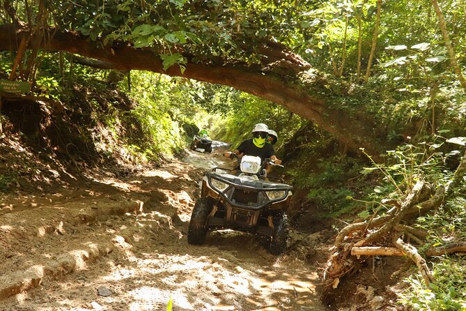 Jungle Double ATV Tour El Mirador (Ride Tandem on Atv) - Meeting and Pickup