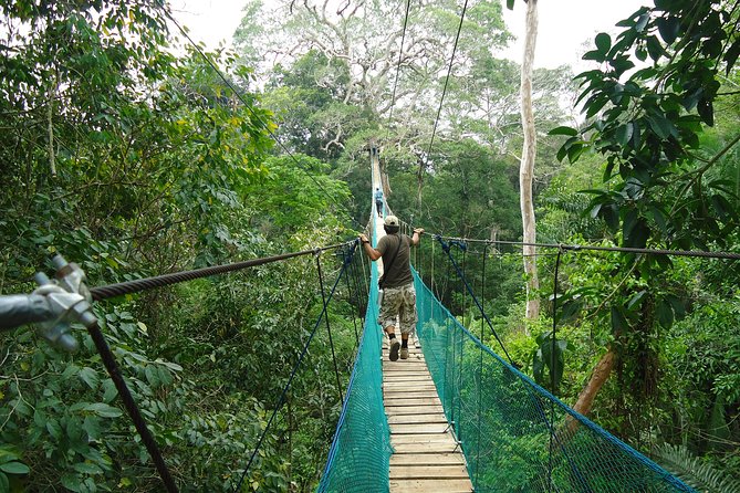Jungle Eco Jungle And Adventure - 4 Days / 3 Nights - Daily Itinerary