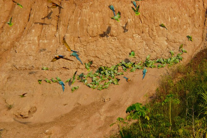 Jungle Eco Jungle And Adventure - 4 Days / 3 Nights - Inclusions and Exclusions