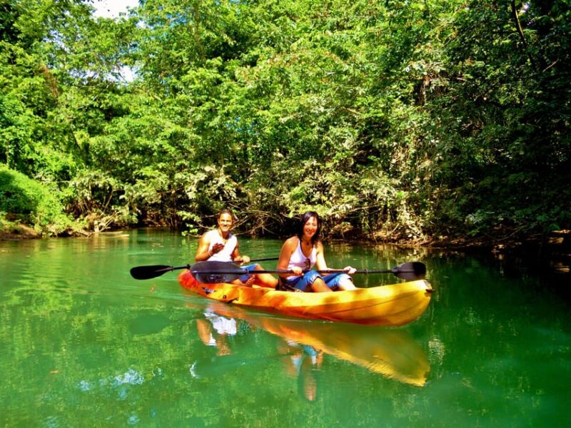 Jungle Eco Tour - Experience and Highlights