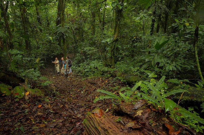 Jungle Expedition Through the Childrens Eternal Rainforest - Key Points