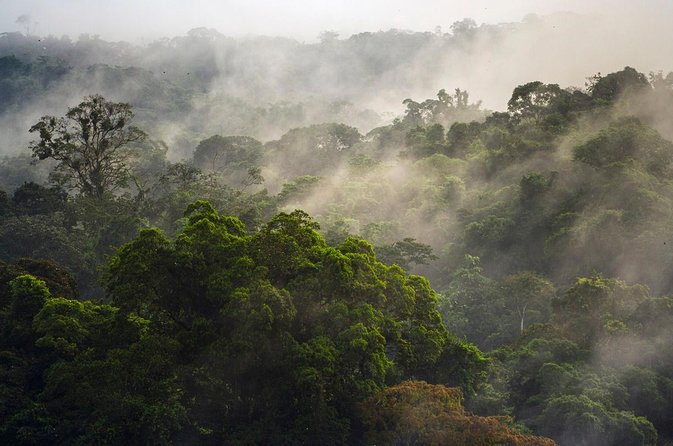 Jungle Expedition Through the Childrens Eternal Rainforest - Highlights of the Rainforest