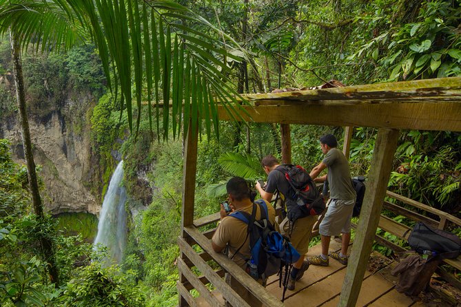 Jungle Expedition Through the Childrens Eternal Rainforest - Hike Around the Volcanic Lagoon