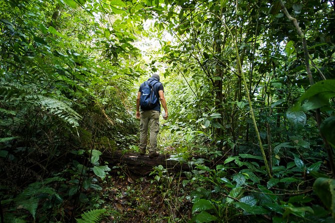 Jungle Expedition Through the Childrens Eternal Rainforest - Included Amenities and Logistics