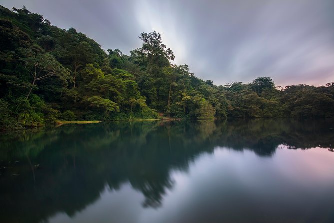 Jungle Expedition Through the Childrens Eternal Rainforest - Dietary Accommodations