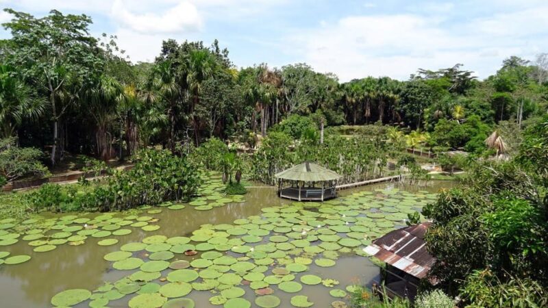 Jungle Explorer 6 Days - River Journey and Indigenous Community