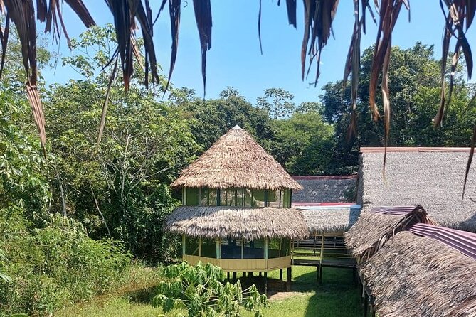 Jungle Explorer Tour 5 Days 4 Nights - Highlights of the Experience