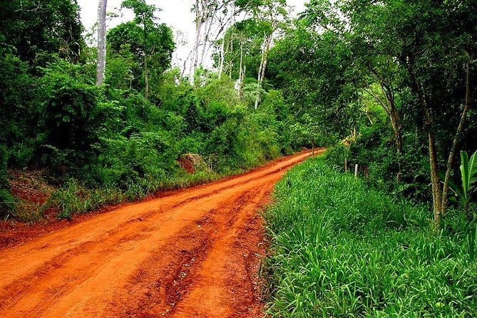 Jungle Fly: Adventure at the Jungle in Iguazu - Recap
