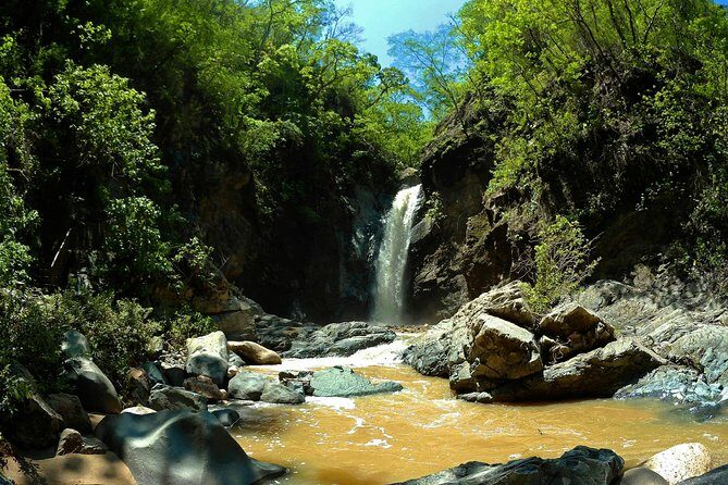 Jungle HorseBack Adventure to Las Palmas Waterfall All Included - Key Points