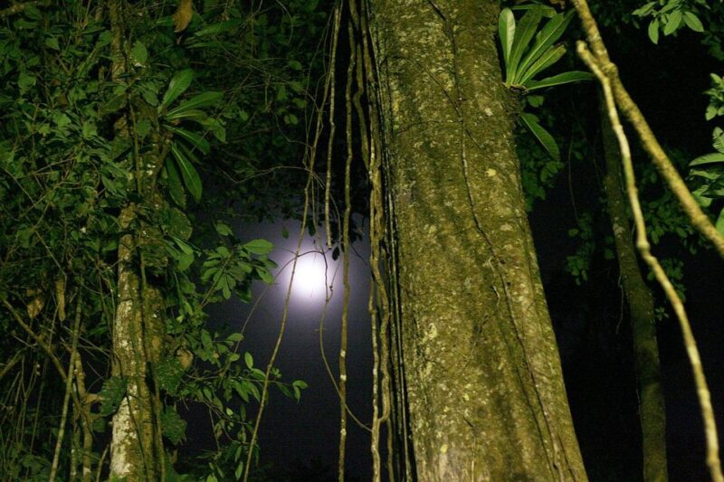 Jungle Iquitos 3D |Boating+Piranha Fishing+Night Excursion| - Inclusions and Amenities