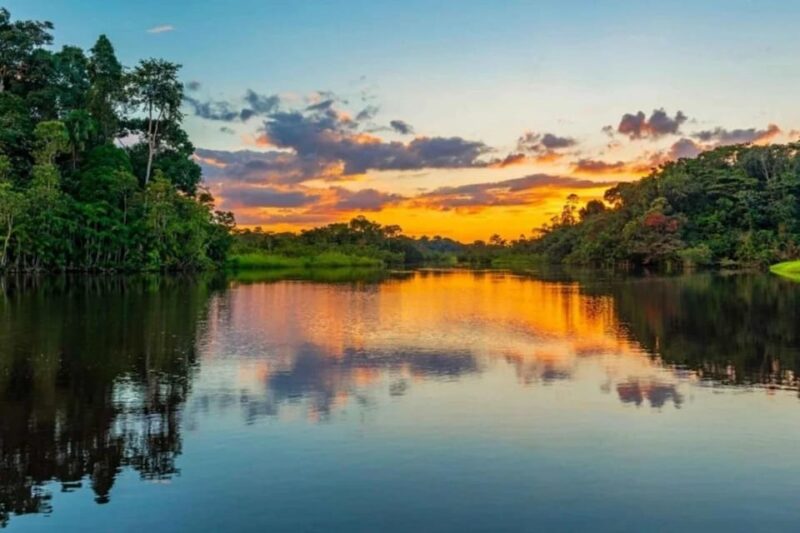 Jungle Iquitos 3D |Boating+Piranha Fishing+Night Excursion| - Boating and Dolphin Observation