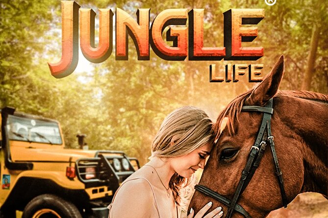 Jungle Life - Key Points