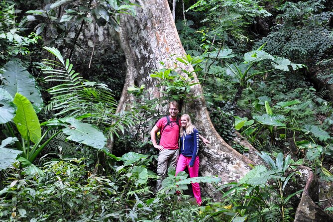 Jungle Life In Ba Be National Park 4 Days 3 Nights - Exploring the Lush Jungle Terrain