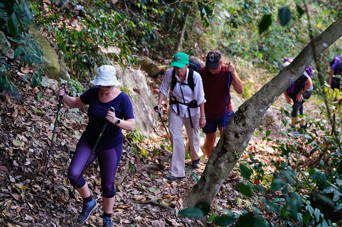 Jungle Life In Ba Be National Park 4 Days 3 Nights - Relaxing in Hammocks Amidst Nature