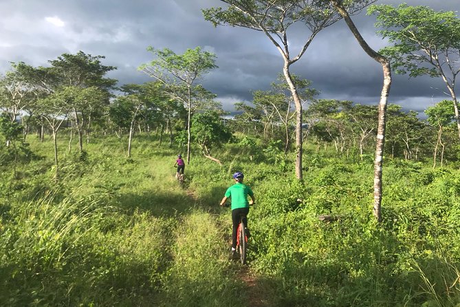 Jungle Mountain Bike Adventures - Exploring the Nicoya Peninsula