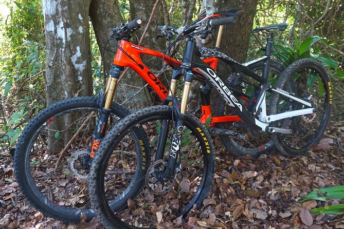 Jungle Mountain Bike Adventures - Tour Route and Highlights