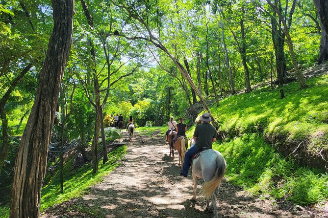 JUNGLE/ MOUTAIN AND BEACH TOUR HORSEBACK RIDING - 2h 1/2 - Meeting and Pickup