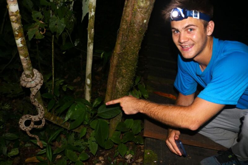 Jungle Night Walk/ Nocturnal Wildlife and Jungle Sounds - Key Points